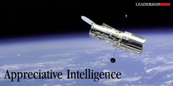 Appreciative Intelligence