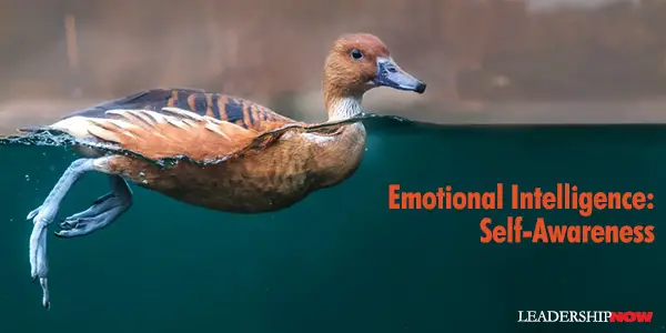 Emotional Intelligence