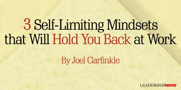 Garfinkle 3 Mindsets