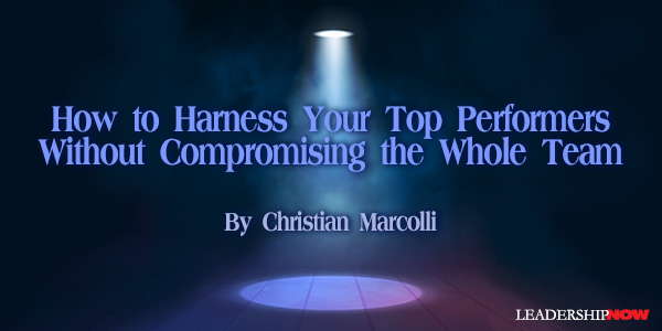 Marcolli Top Performers