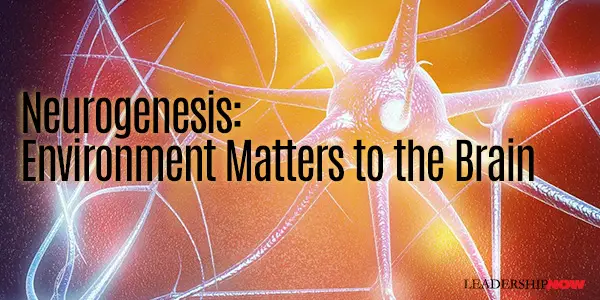Neurogenesis